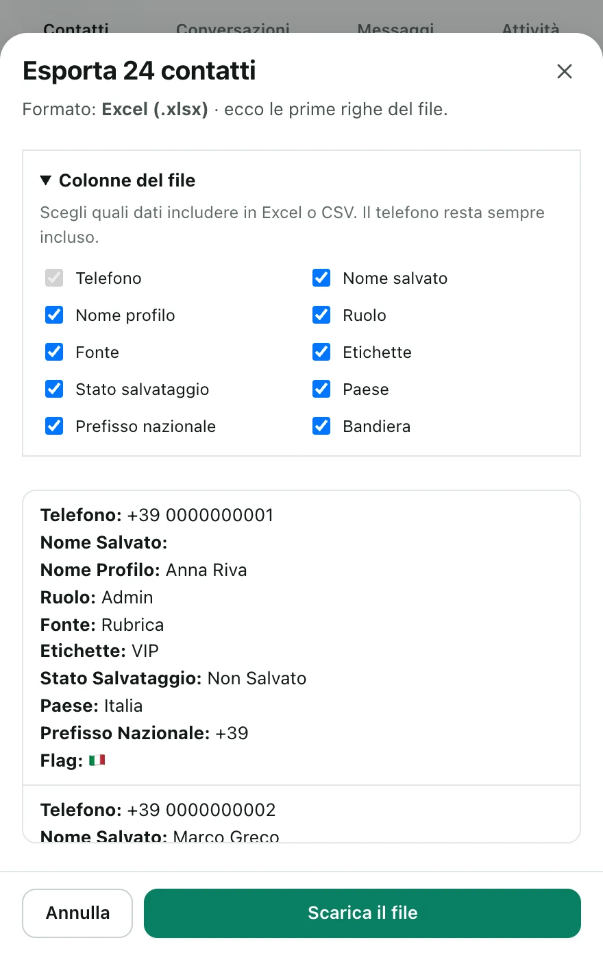 Finestra di esportazione di Snipdex: formato Excel e scelta delle colonne